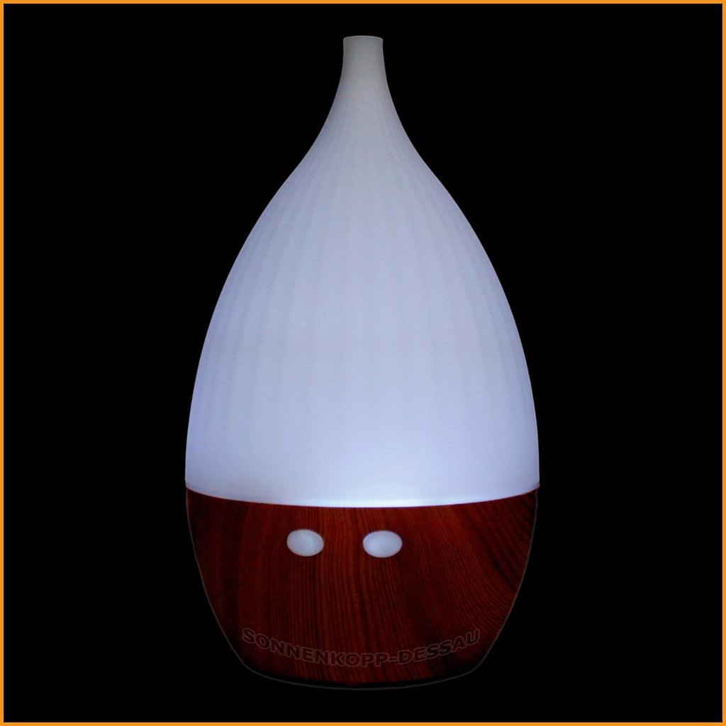 https://www.sonnenkopp-dessau.de/cdn/shop/products/aroma-diffuser-vase-weiss-tom-11-4_1024x1024.jpg?v=1599593595